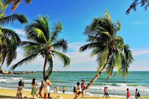 海南特色旅游小鎮(zhèn)文化旅游項目開發(fā)策略研究